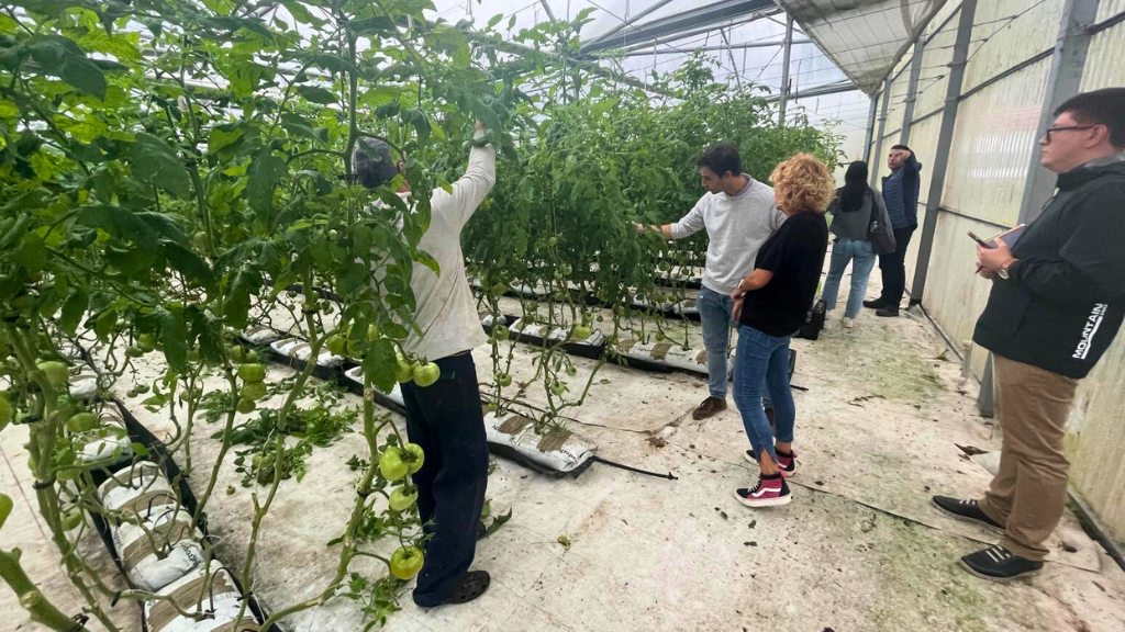 Personal de CTC, Garaia y Alerion visitando un invernadero de tomates en Vizcaya